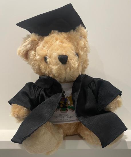 RVC Graduation Bear