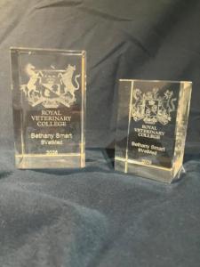 RVC Glass paperweight