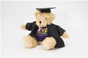 RVC Graduation Bear