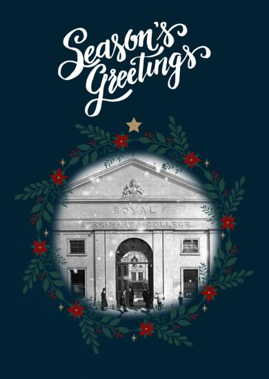 RVC Christmas Cards - Pack of 10