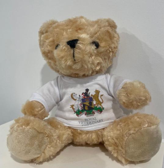 RVC Graduation Bear
