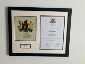 RVC Hand-Embroidered Plaque/Degree Frame 